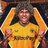 Pedro Lima (Wolves)