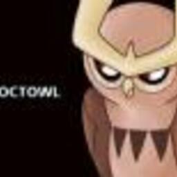 @noctowl